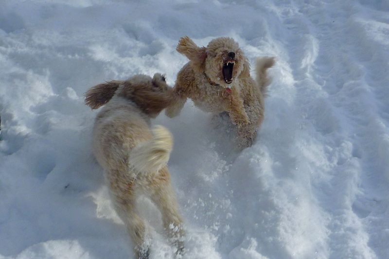 Preparation for Africa in Geneva, Switzerland